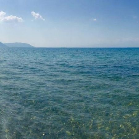 Brand New Spacious Studio Ιτέα Εξωτερικό φωτογραφία